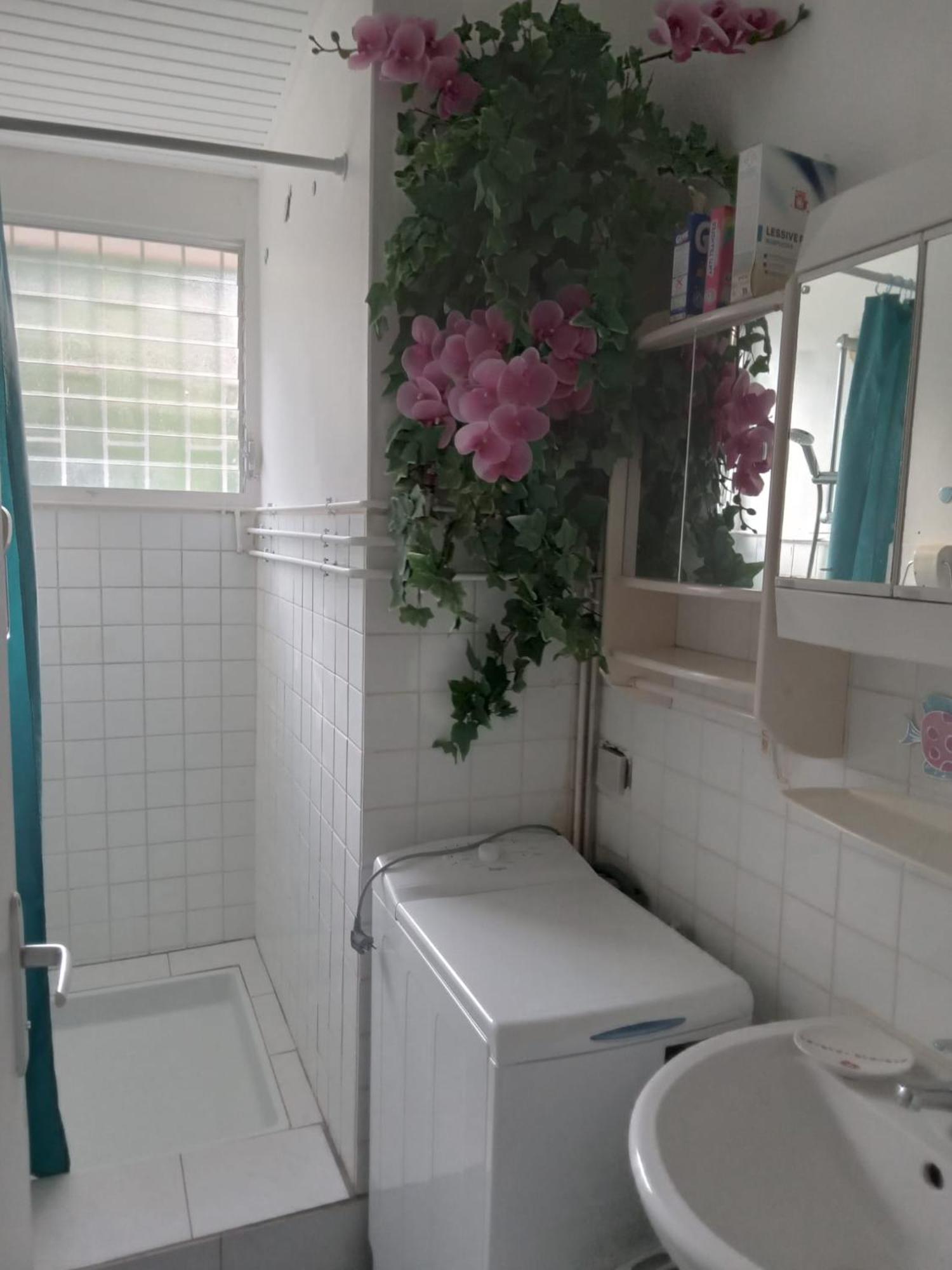 Ferienwohnung Les Orchidees Sainte-Anne Exterior foto